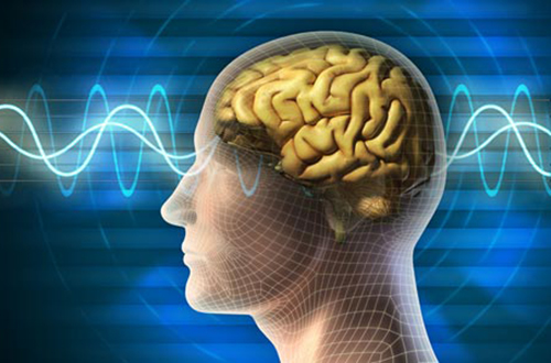 瑞典研究人员选择了15名平均年龄22岁、体重正常的健康男子，他们平时都保持7小时到9小时的高质量睡眠。结果显示，受试者被剥夺一晚睡眠后（在灯光条件下坐床上玩游戏、看电影或聊天）血液中Tau蛋白平均水平增加了17%，而充足睡眠一晚后血液中的Tau蛋白平均水平仅增加了2%。