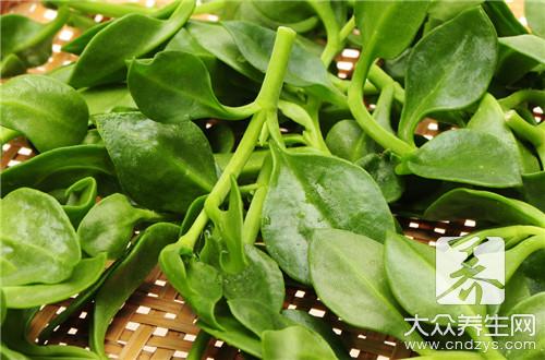 这种蔬菜很多人都见过，而且是入常生活中经常被用于制作各种美味佳肴的一种蔬菜，它原来是产自地中海沿线的，而且是一种两年生的草本植物。它的叶子非常的粗壮，是椭圆形的颜色，一般是黑蓝色的，而且表面会有一些粉末状的物质，叶子一圈一圈的环抱着四则是绿色的。