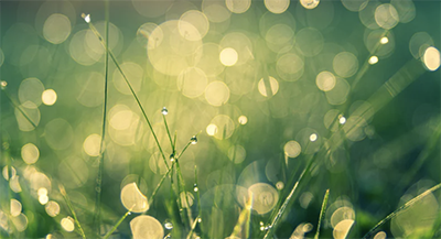 “天街小雨润如酥，草色遥看近却无”，2月19日是雨水节气，此时阳气逐渐生发，草木发芽。即便如此，但我国北方阴寒未尽，尚未入春；南方多数地区虽春意盎然，可早晚依旧湿寒。中医养生讲究顺应四季变化，雨水时节，地湿之气渐升，寒湿之邪易入侵脾脏，且难以去除，故雨水前后应当着重养护脾脏、祛风除湿。