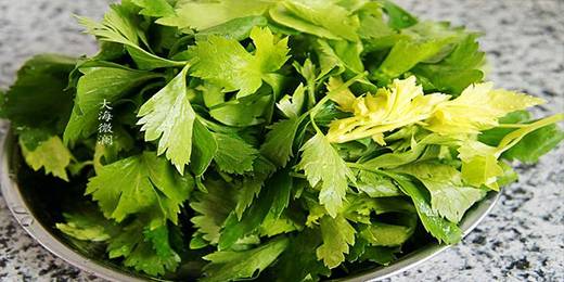 1.看看这芹菜叶是不是很讨人喜欢，怎舍得把它扔掉呢，先把它放入淡盐水中浸泡十几分钟，然后清洗干净 