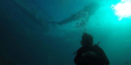 建于1916年的杜马盖地海滨大道，也称“黎刹林荫大道”，是这座城市的象征，也是游客喜欢逛的场所。路的尽头是杜马盖地的轮渡码头，在这里可以坐轮渡去锡基霍尔、薄荷岛游玩。海滨大道并不宽敞，最宽的地方也就三十来米，而且路边还有个杜马盖地最大的露天夜市，占据了半条路面。