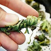 清热解毒又去火，还能去痘痘的蒲公英茶干的做法图解4