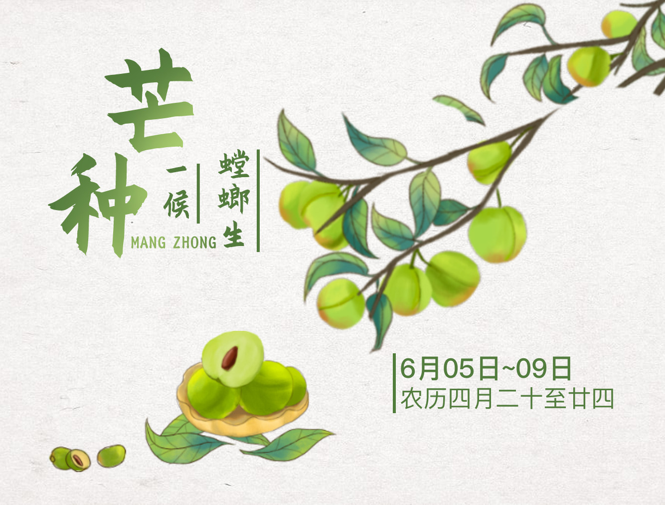 暂无首图