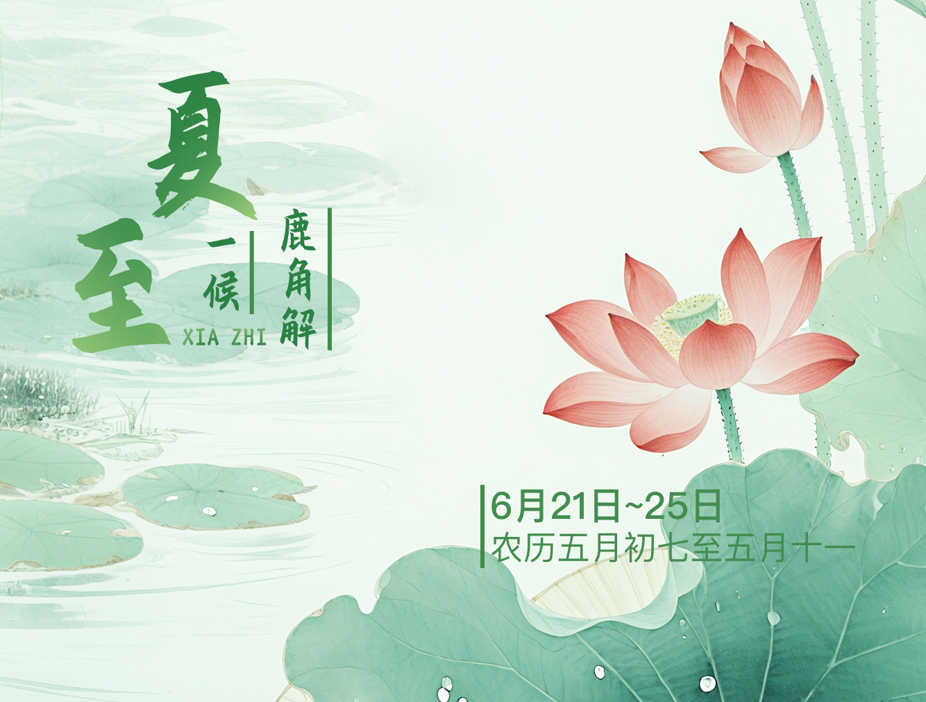 暂无首图