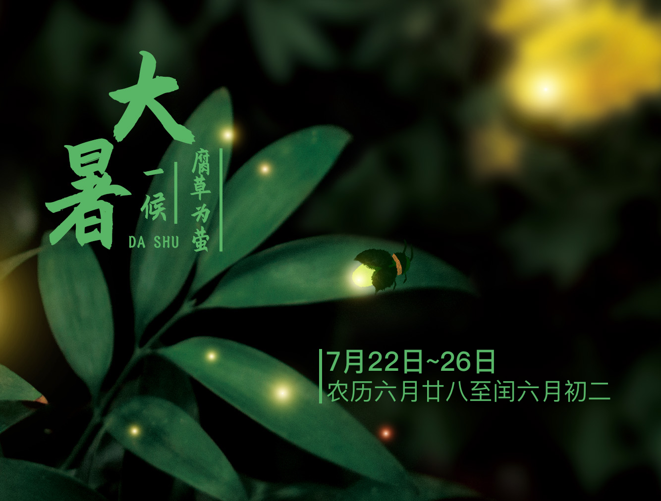 暂无首图