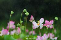 贵州降水增强 这些地区有大雨！