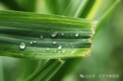 入夏后辽宁天气热辣滚烫，周末降雨高温有望团灭