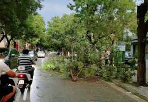 河北高温即将返场！西部、北部多分散性雷雨