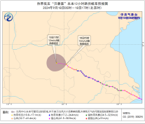 “贝碧嘉”移入河南境内_“普拉桑”向西北方向快速移动