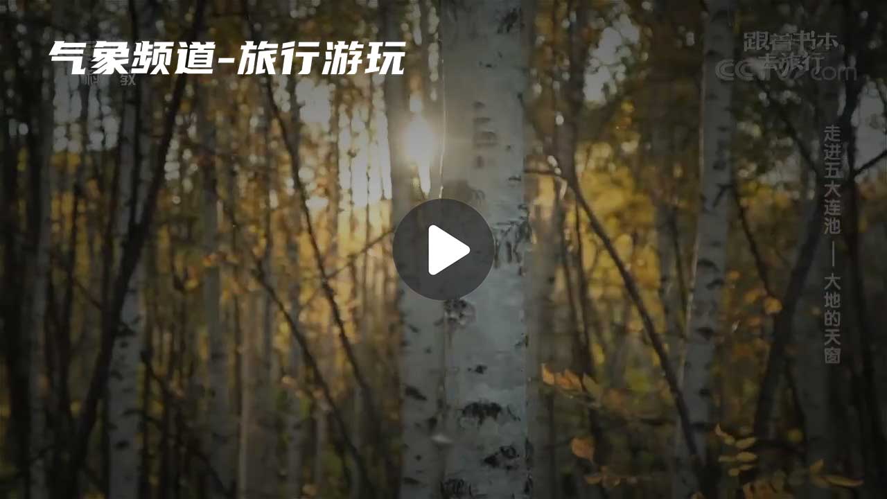 暂无首图