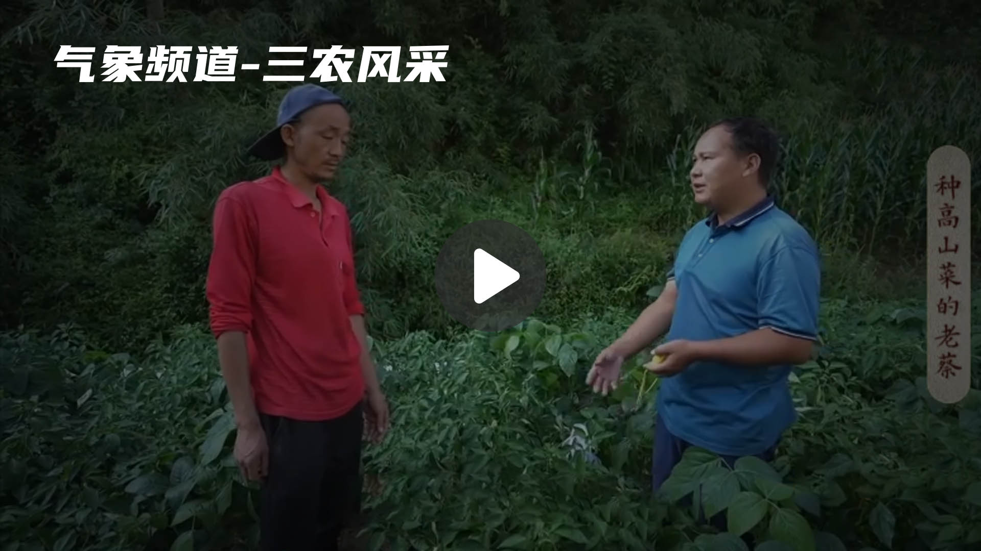 暂无首图