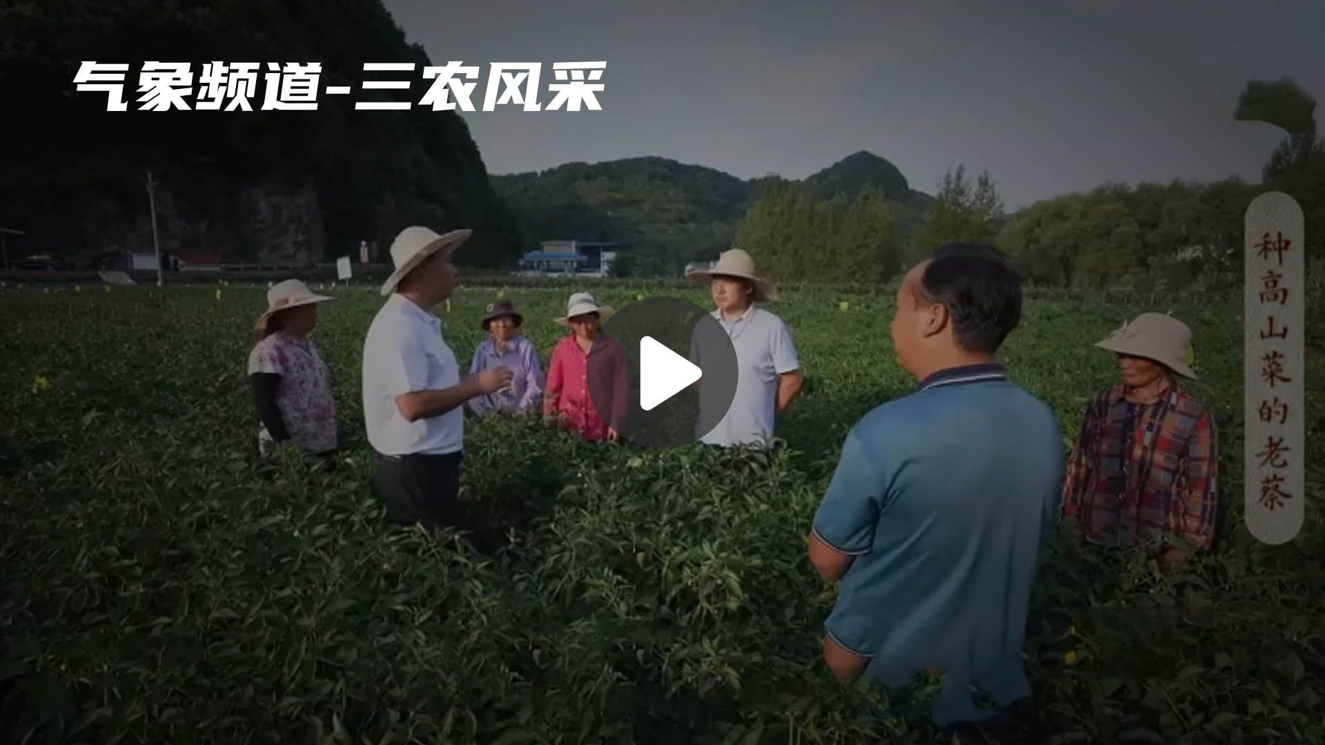 暂无首图