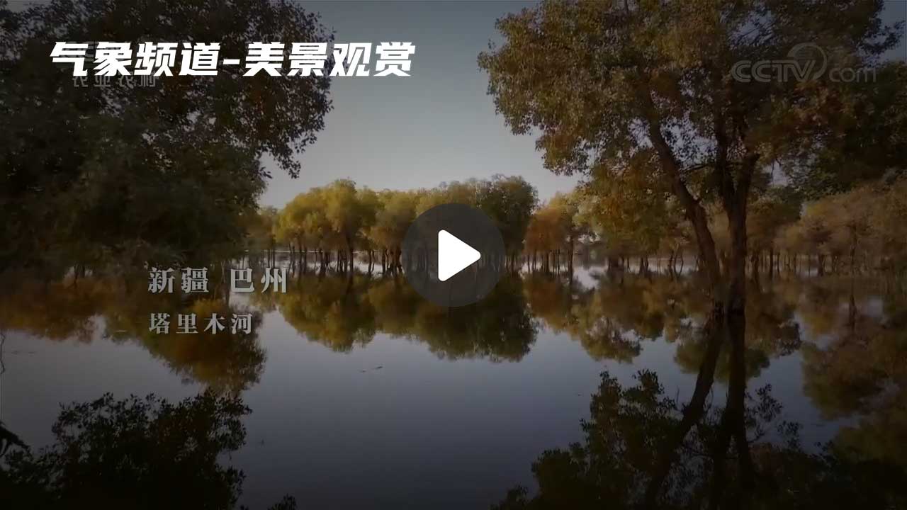 暂无首图