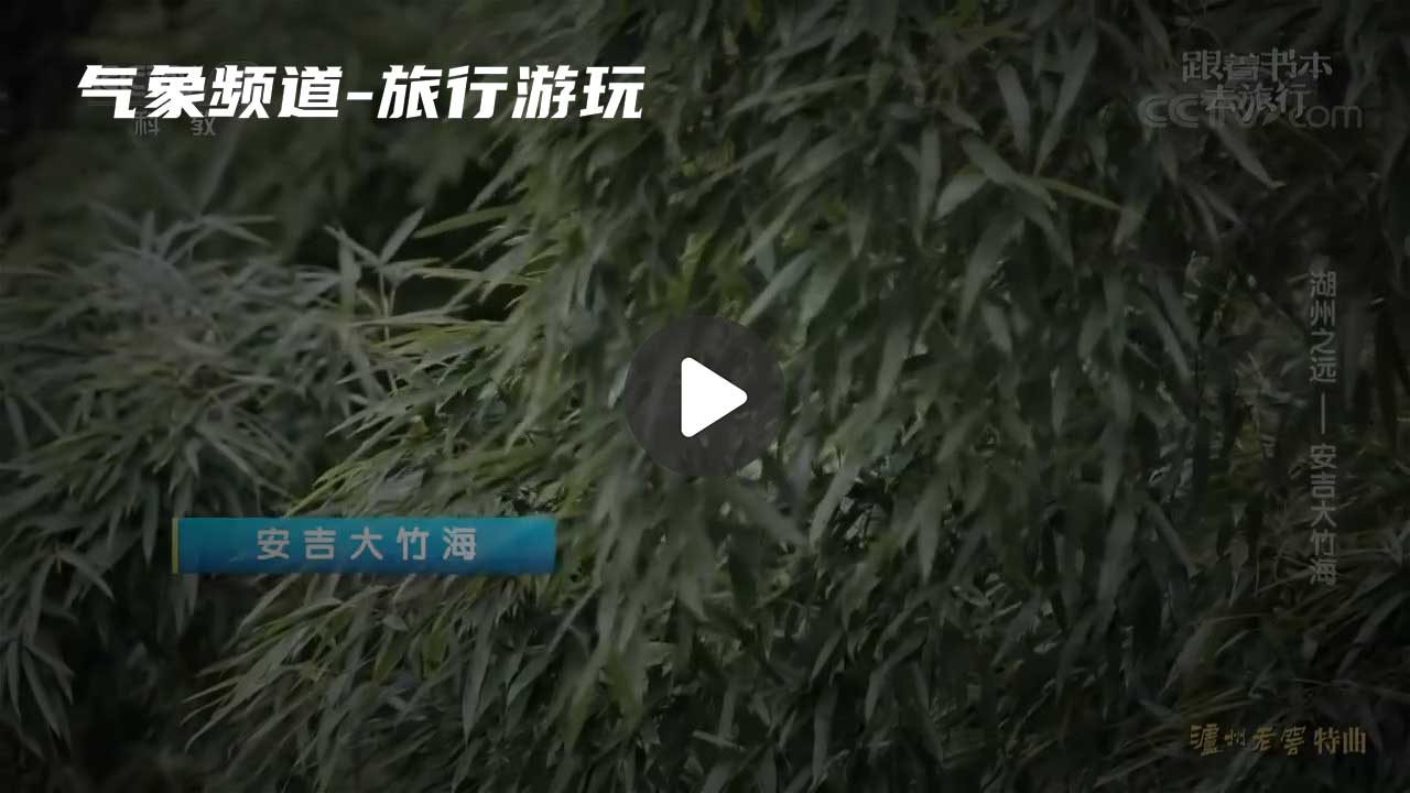 暂无首图