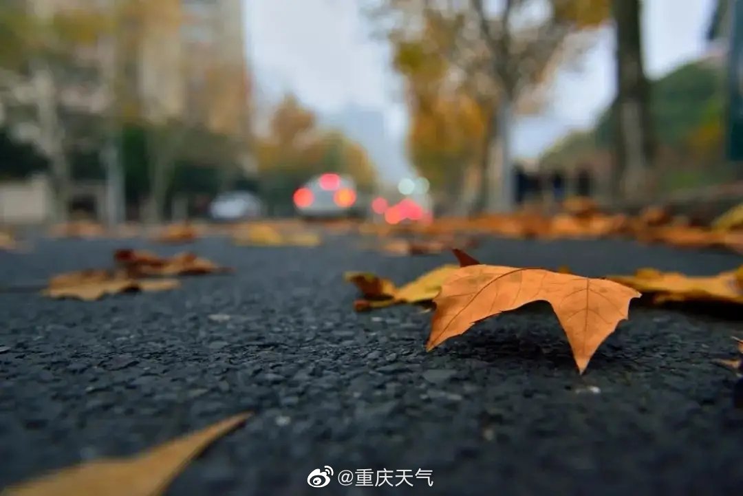 暂无首图