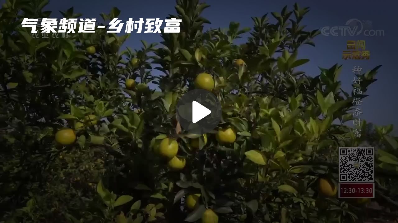 暂无首图