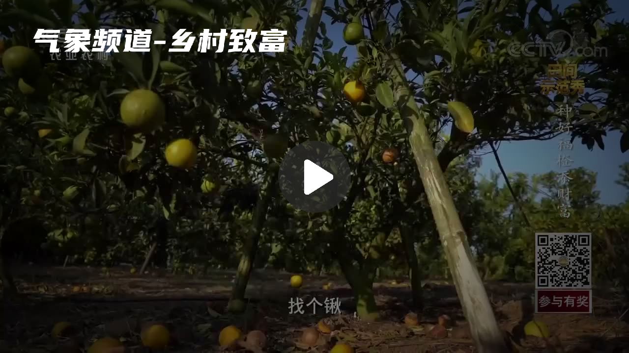暂无首图