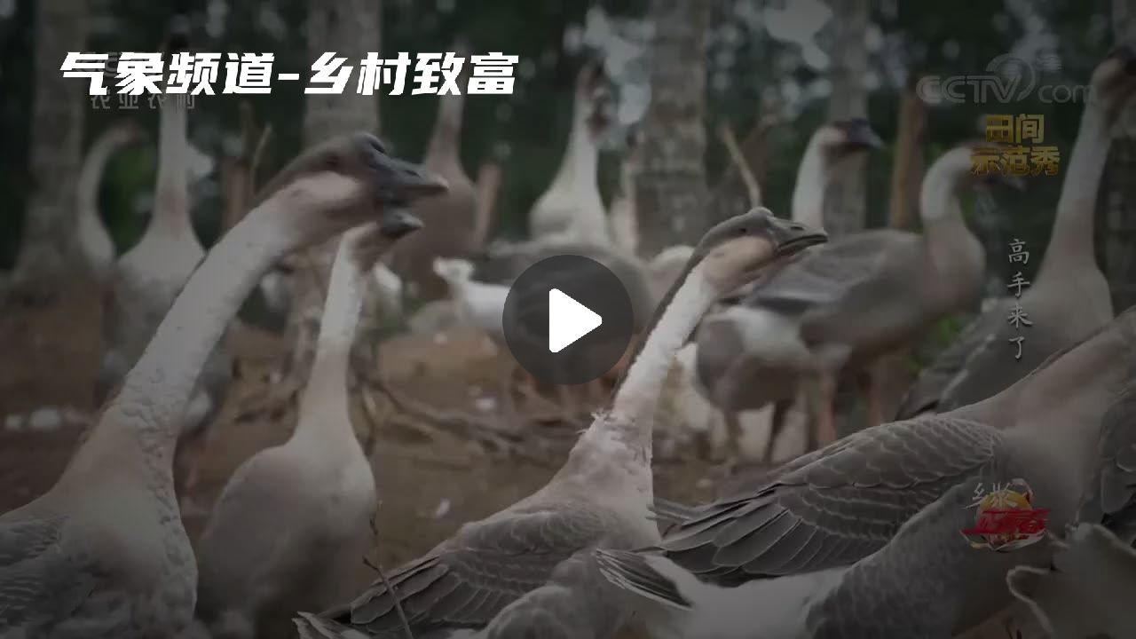暂无首图