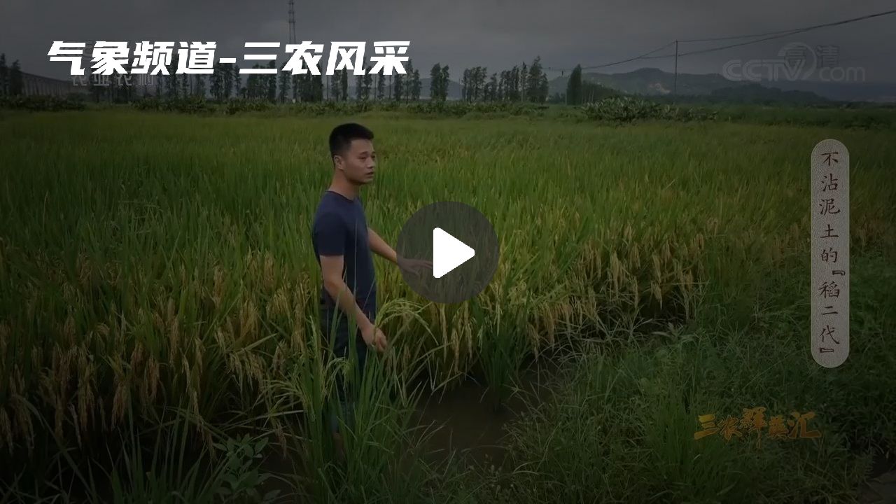 暂无首图