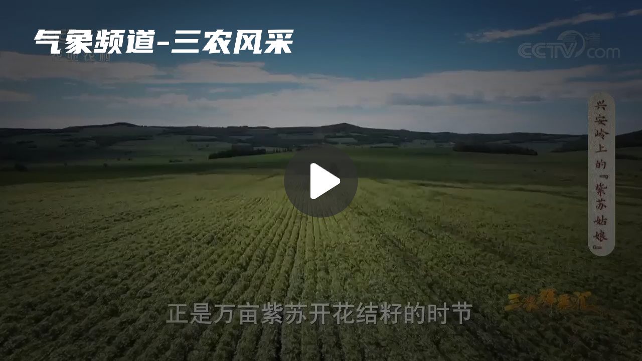 暂无首图