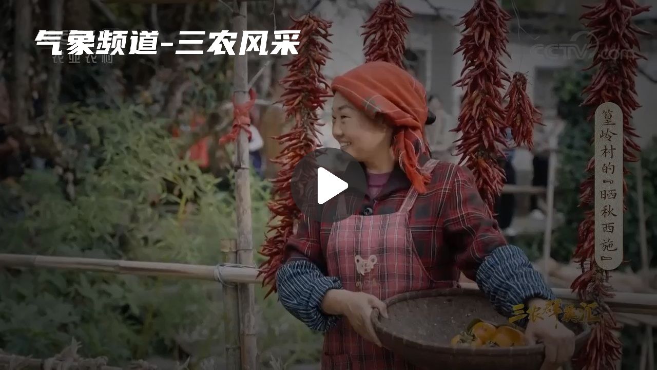 暂无首图