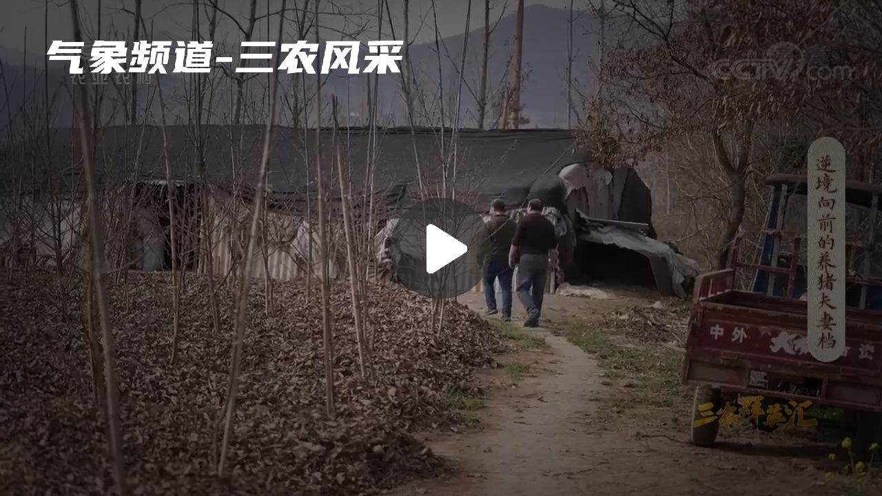 暂无首图