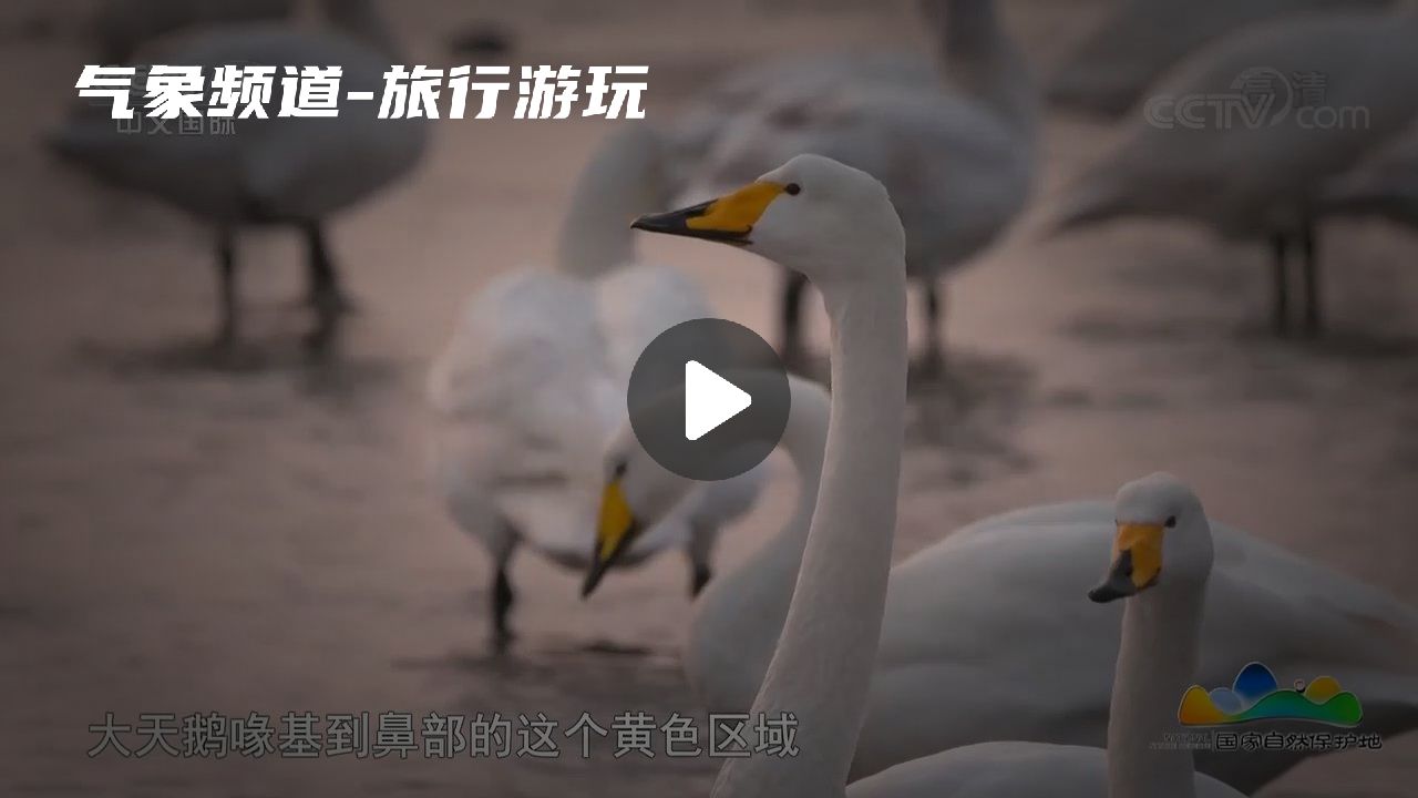 暂无首图