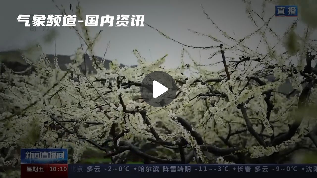 暂无首图
