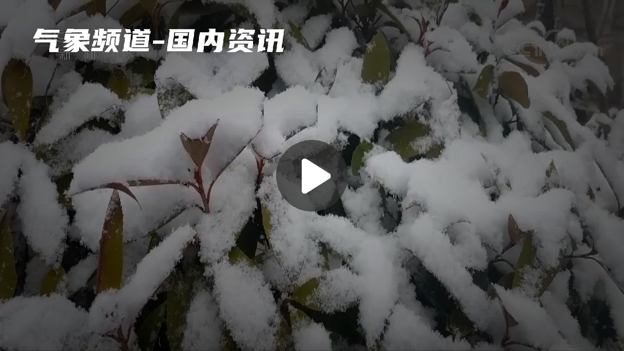 暂无首图