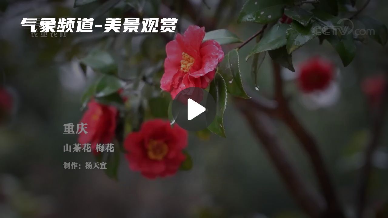 暂无首图