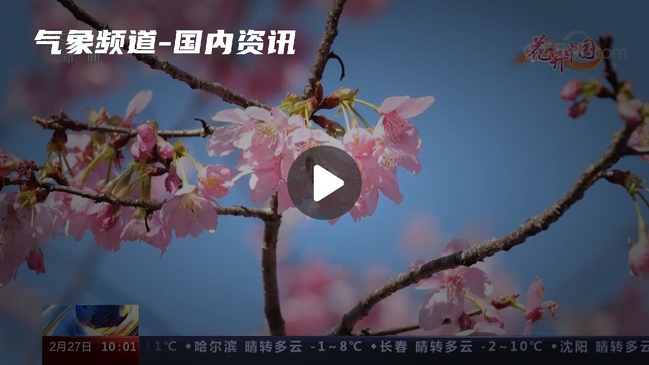 暂无首图