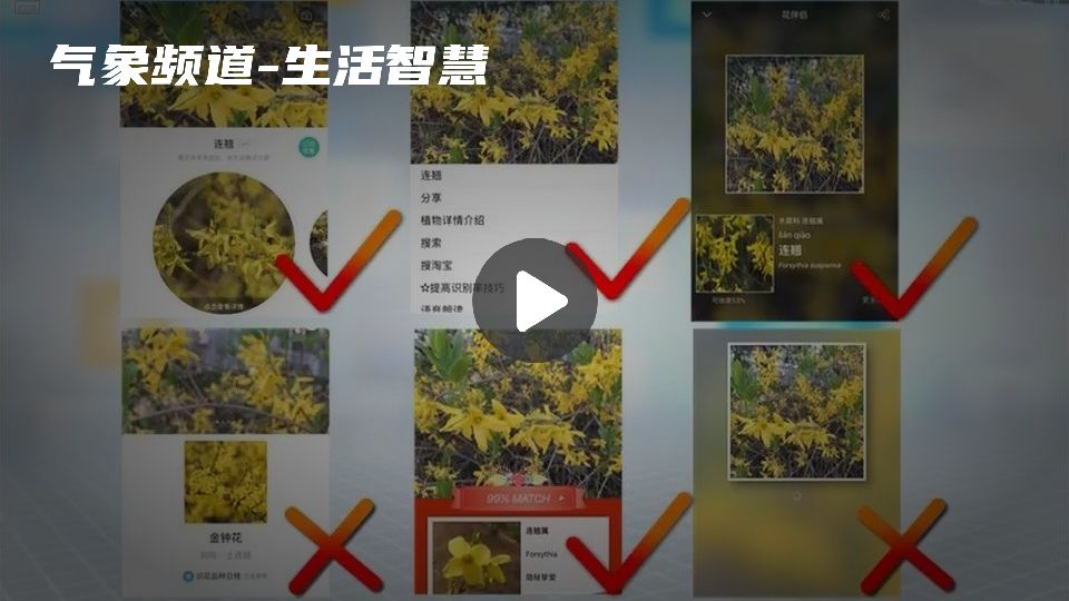 暂无首图