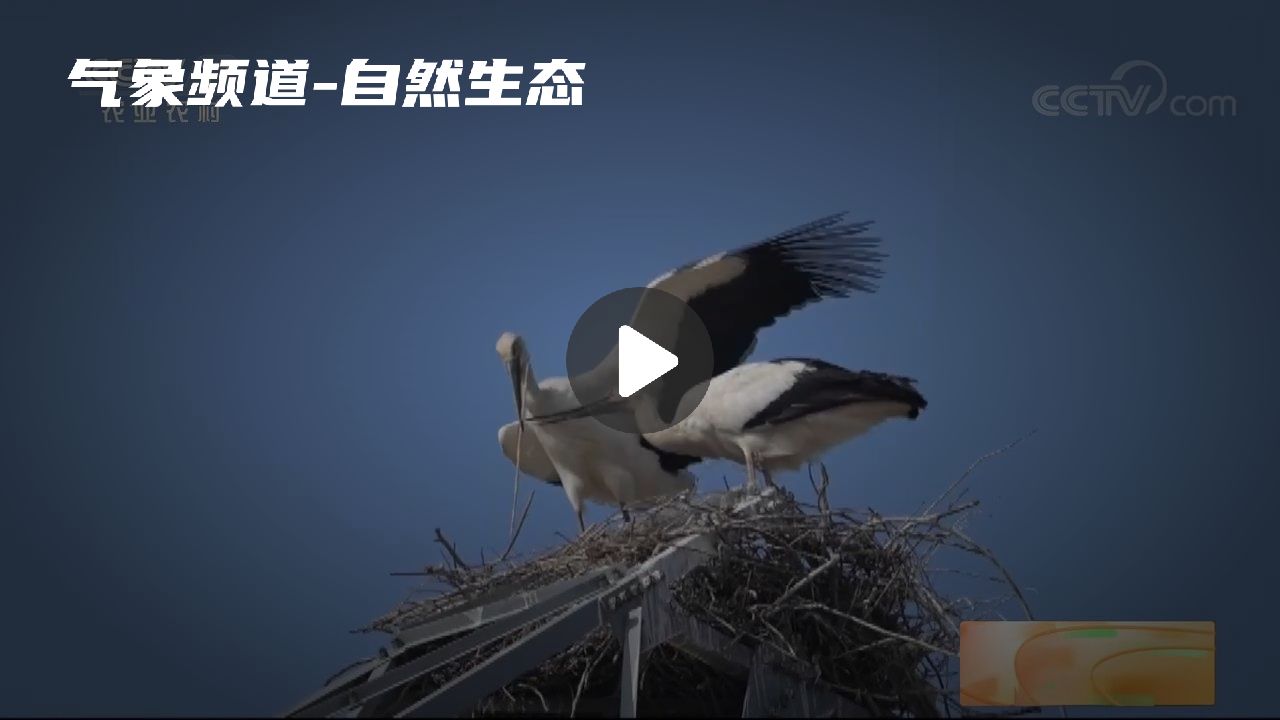 暂无首图