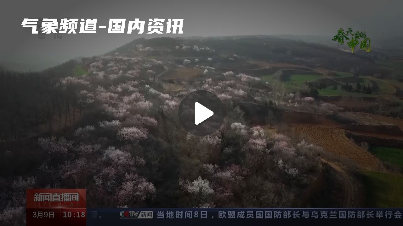 暂无首图