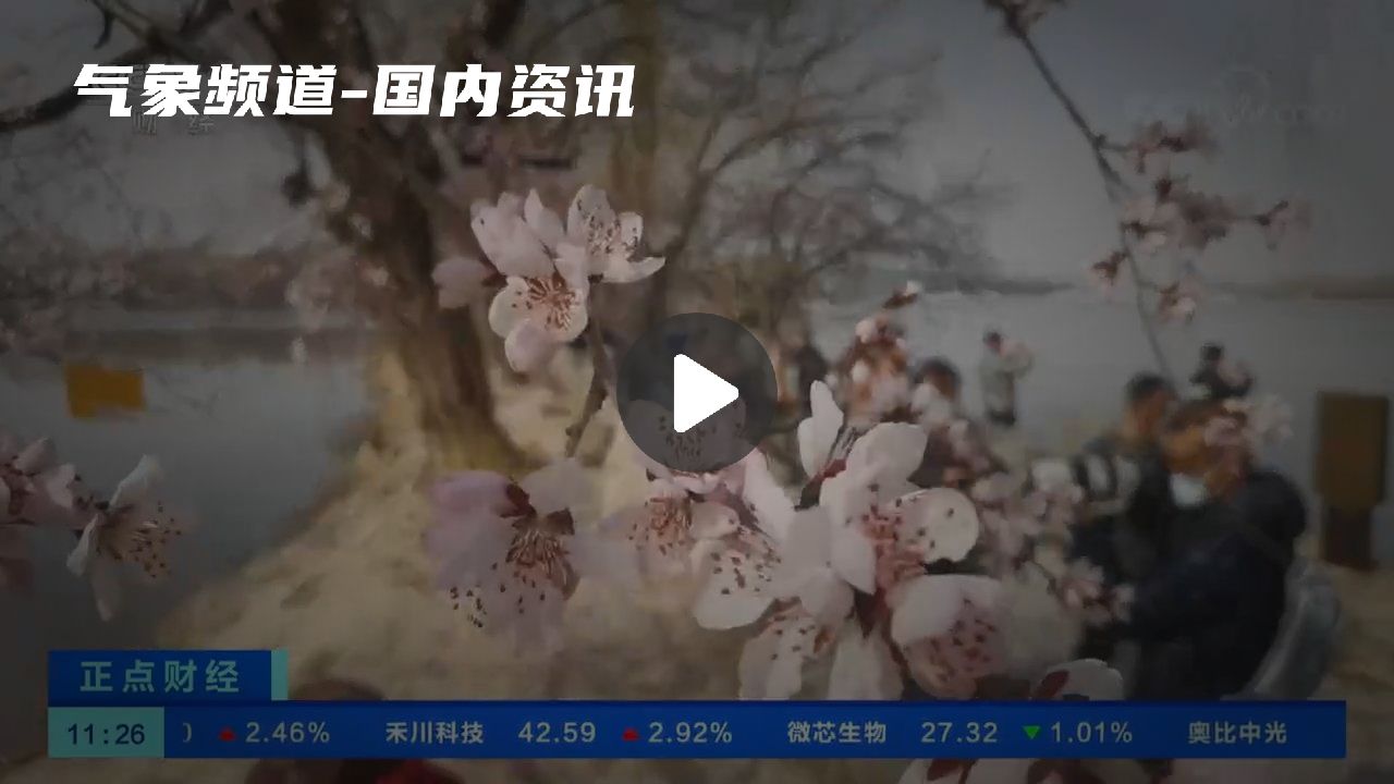 暂无首图