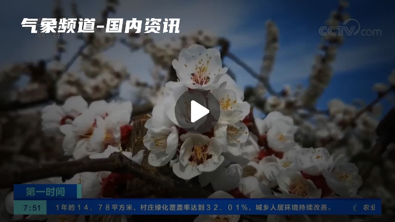 暂无首图