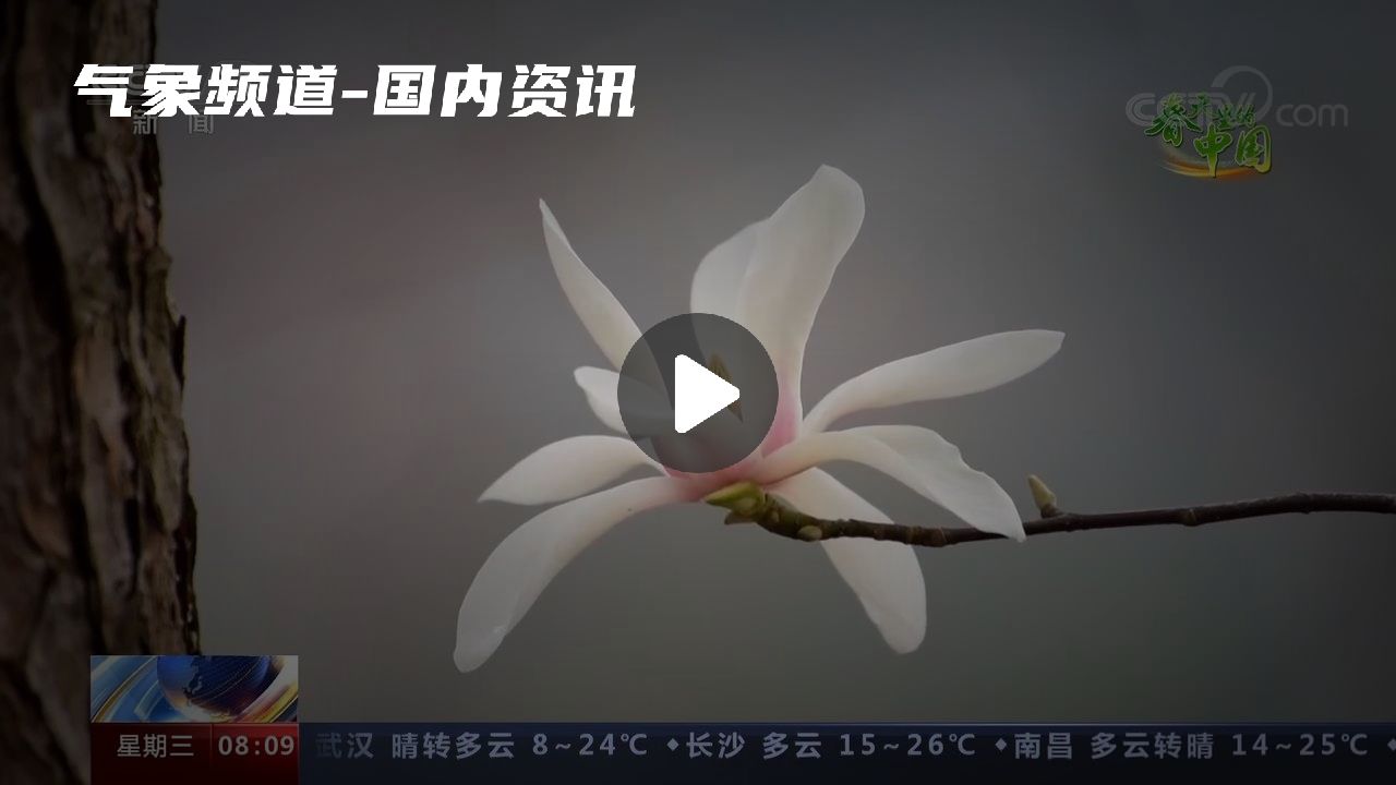 暂无首图
