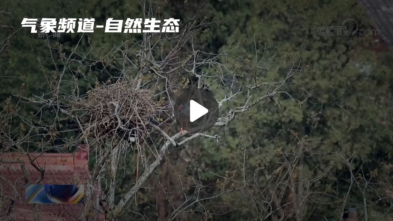 暂无首图