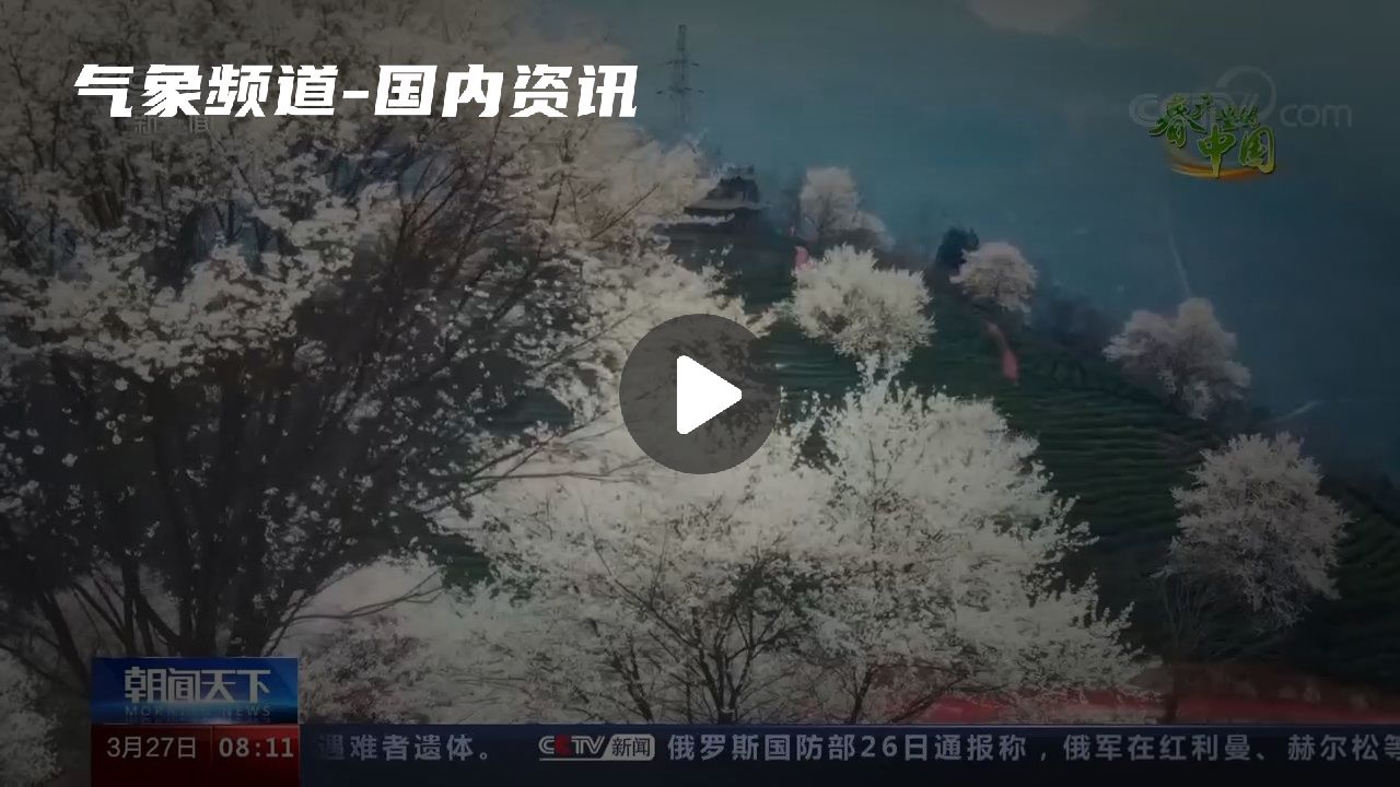 暂无首图