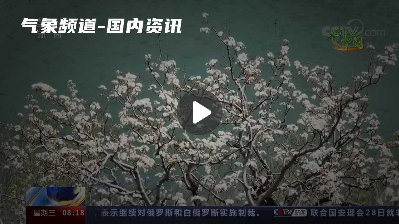 暂无首图