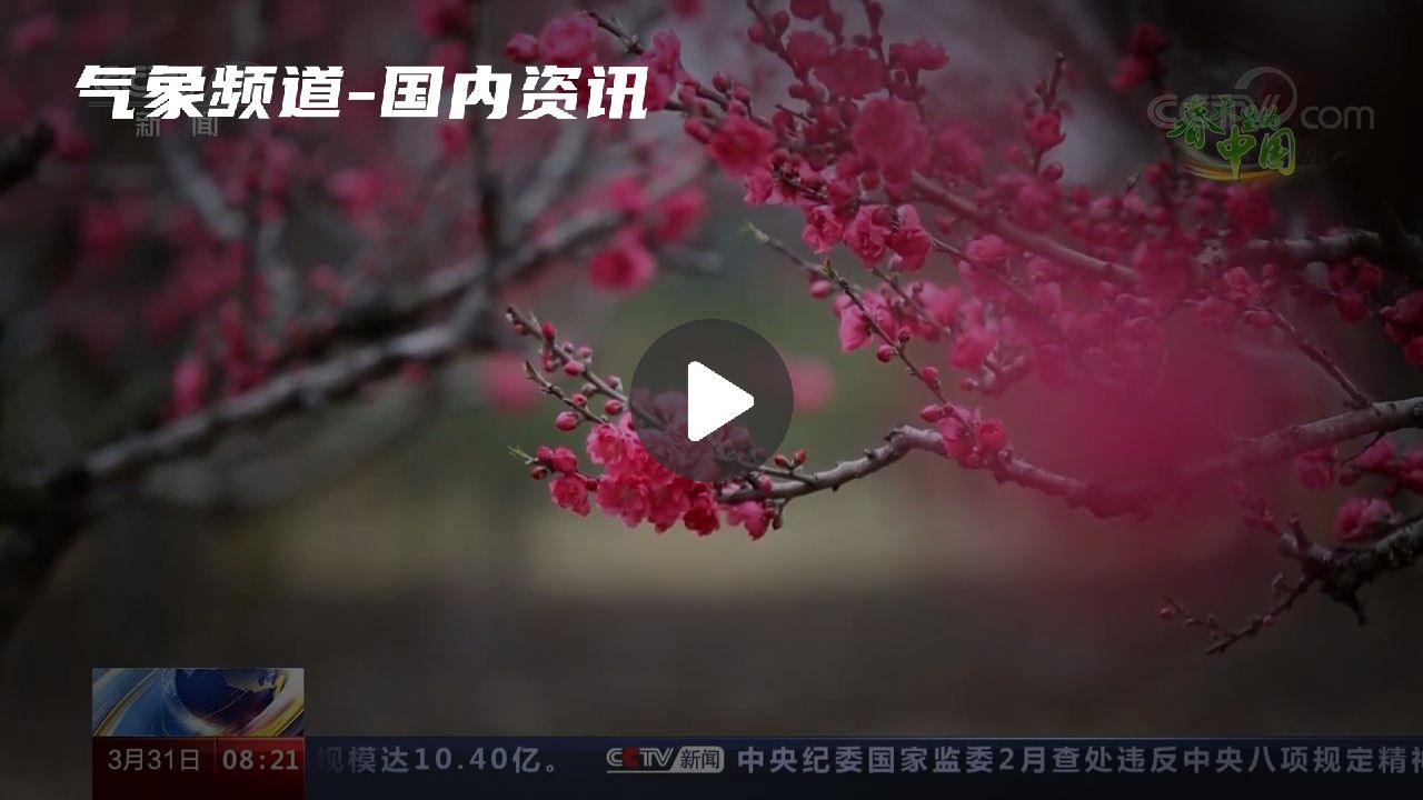暂无首图
