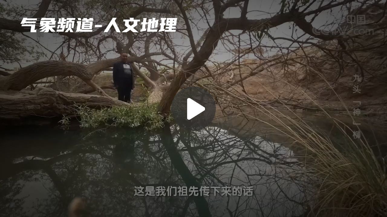 暂无首图