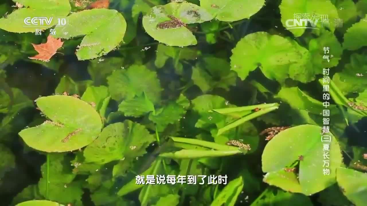 暂无首图
