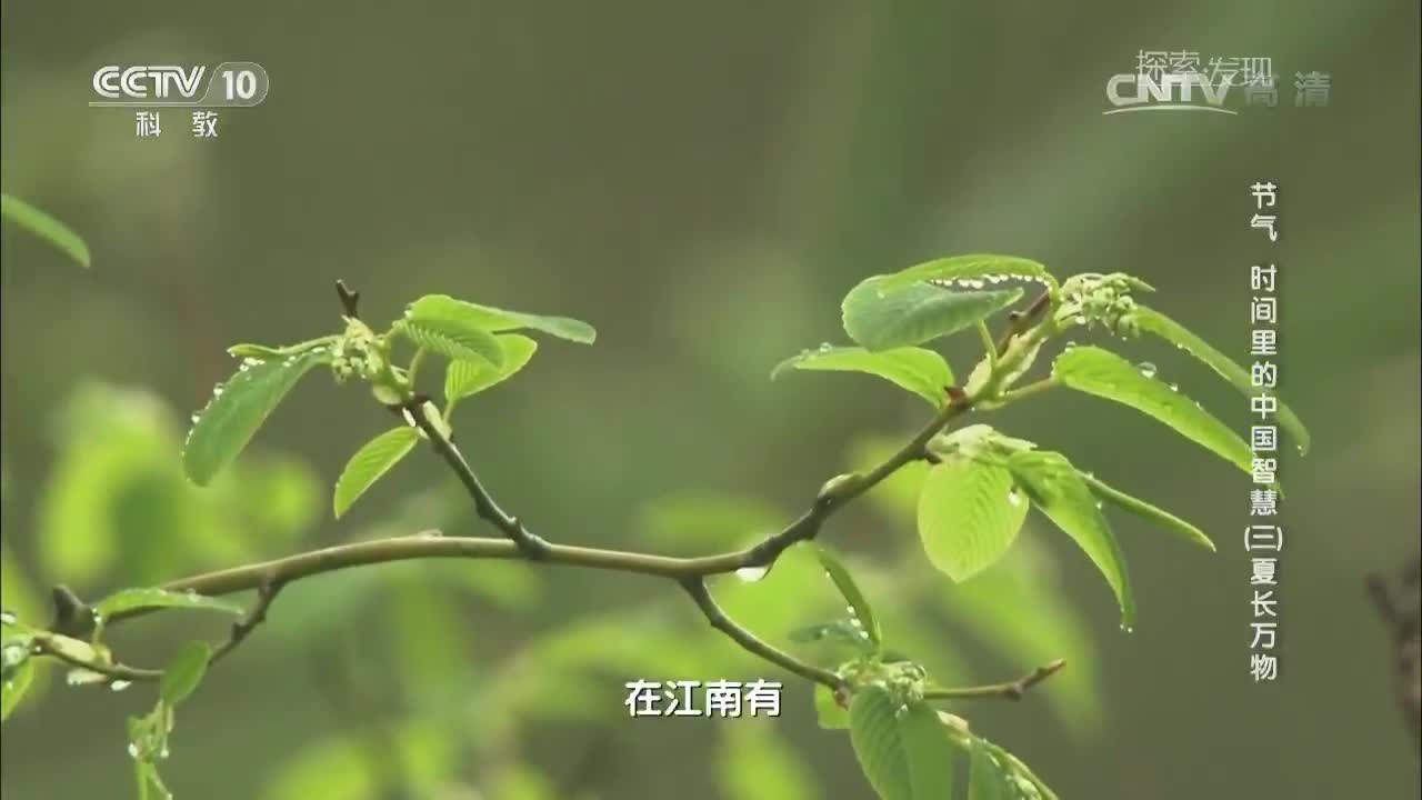 暂无首图