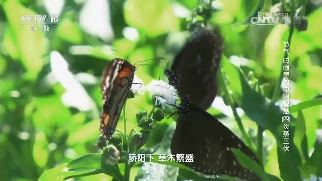 暂无首图