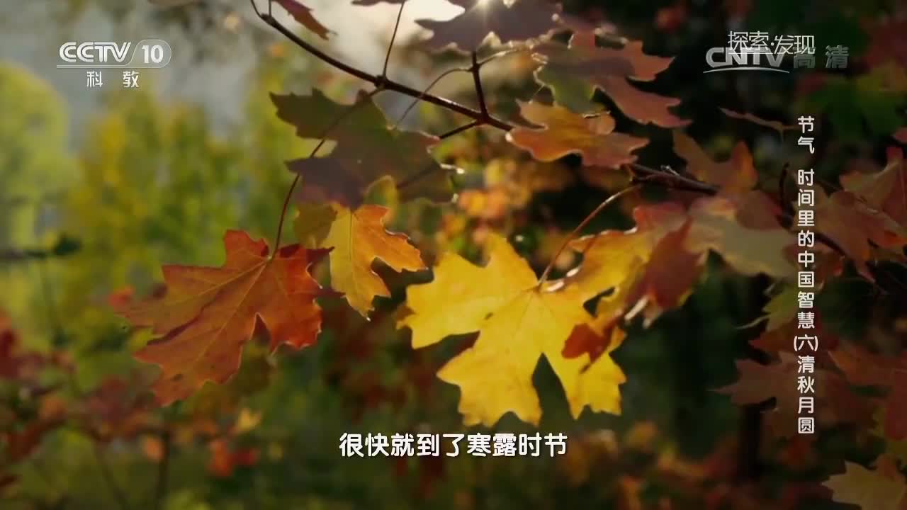 暂无首图