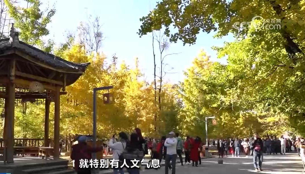 暂无首图