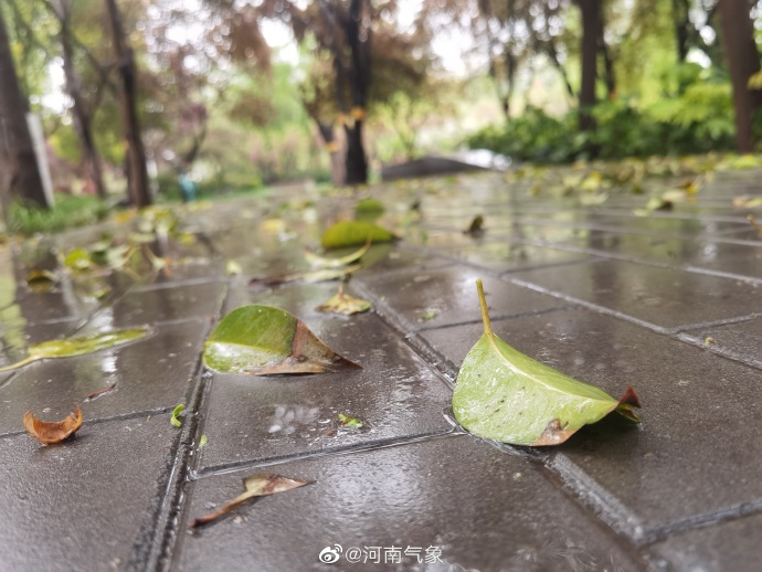 28日河南东部南部有暴雨 部分县市大暴雨