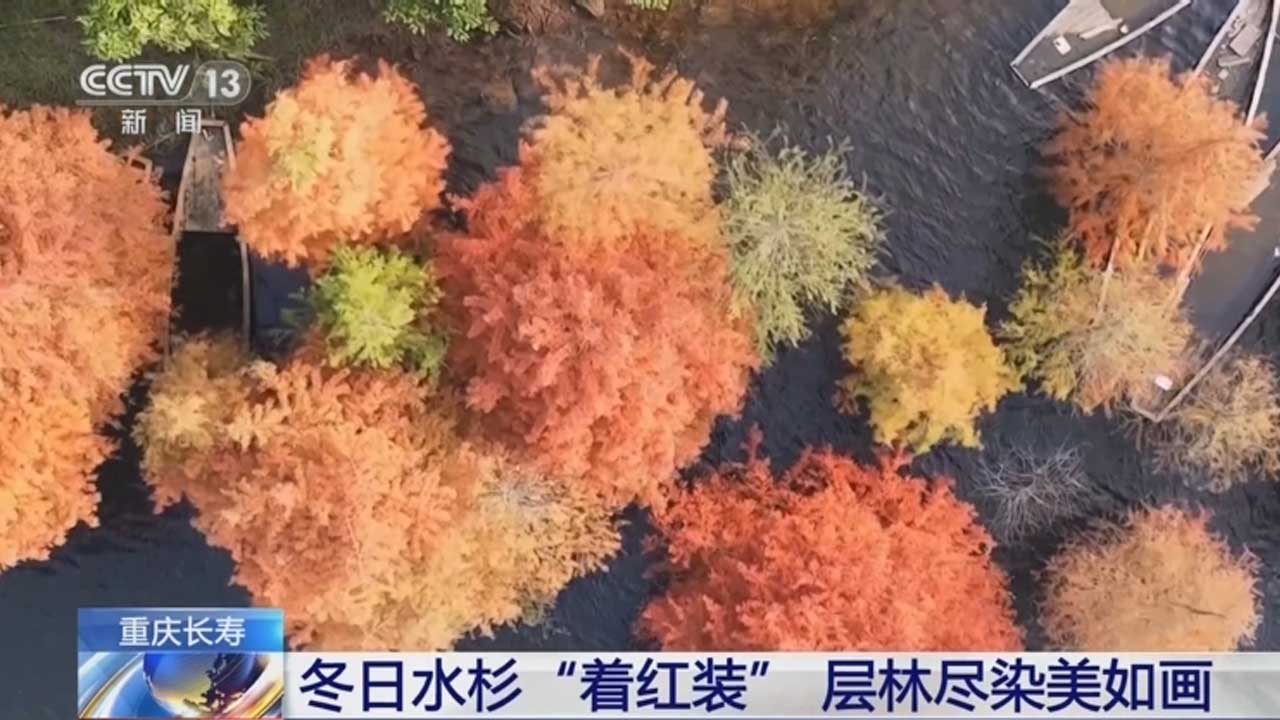暂无首图