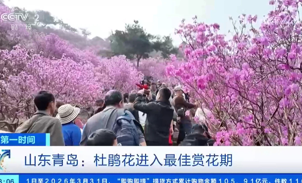 暂无首图